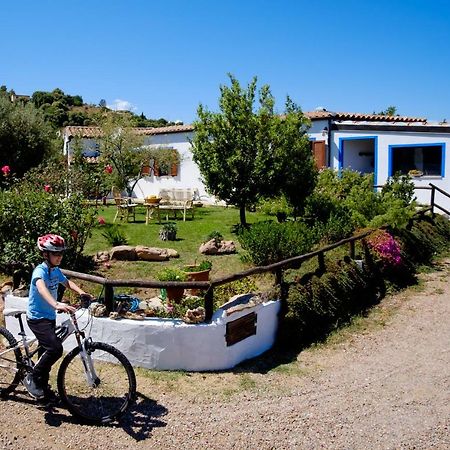 Casa Museddu Βίλα Cardedu Εξωτερικό φωτογραφία