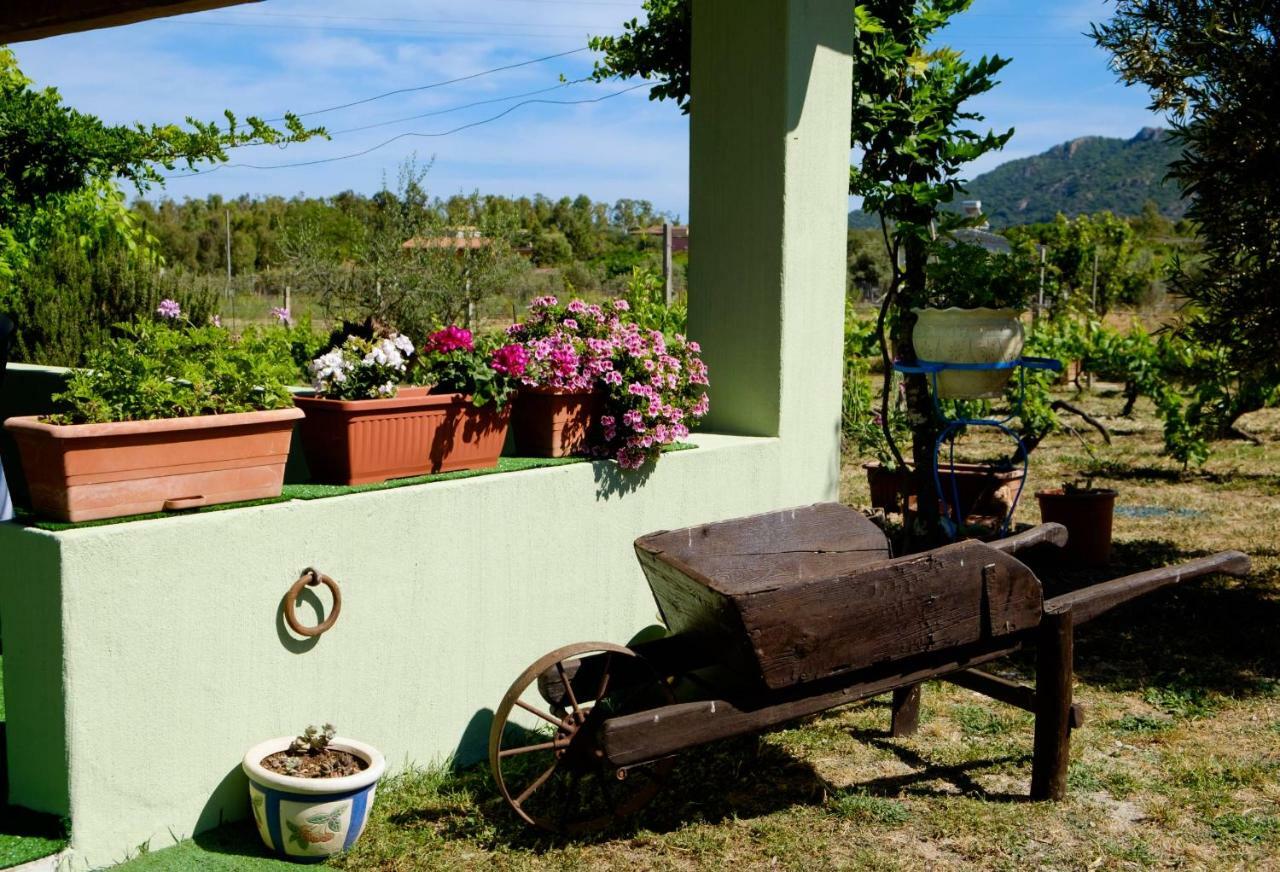 Casa Museddu Βίλα Cardedu Εξωτερικό φωτογραφία