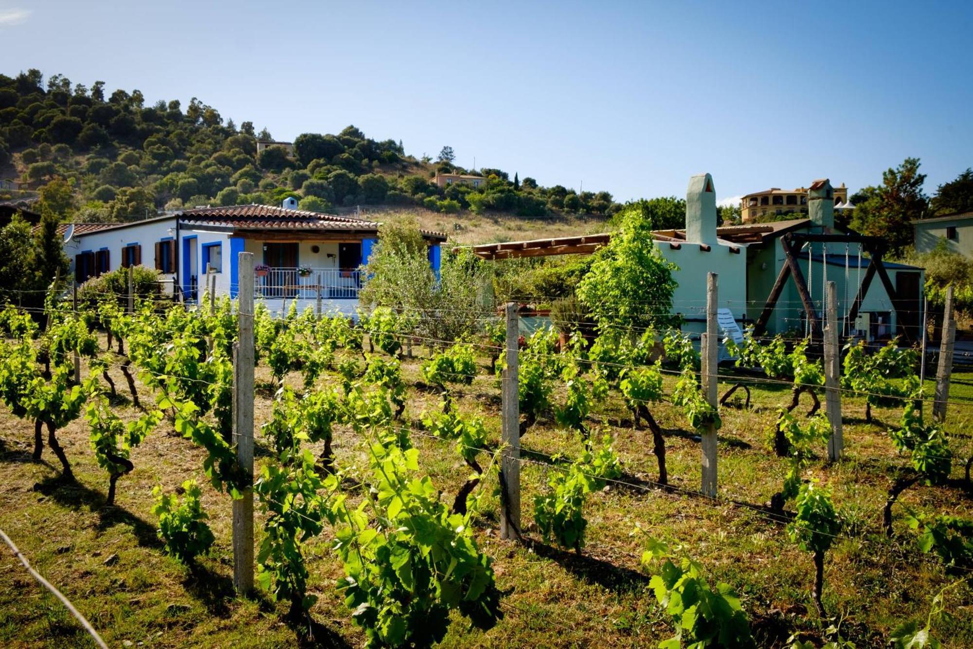 Casa Museddu Βίλα Cardedu Εξωτερικό φωτογραφία